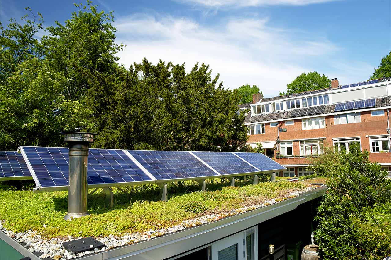 Green Roofs & Solar Power A Study in Efficiency